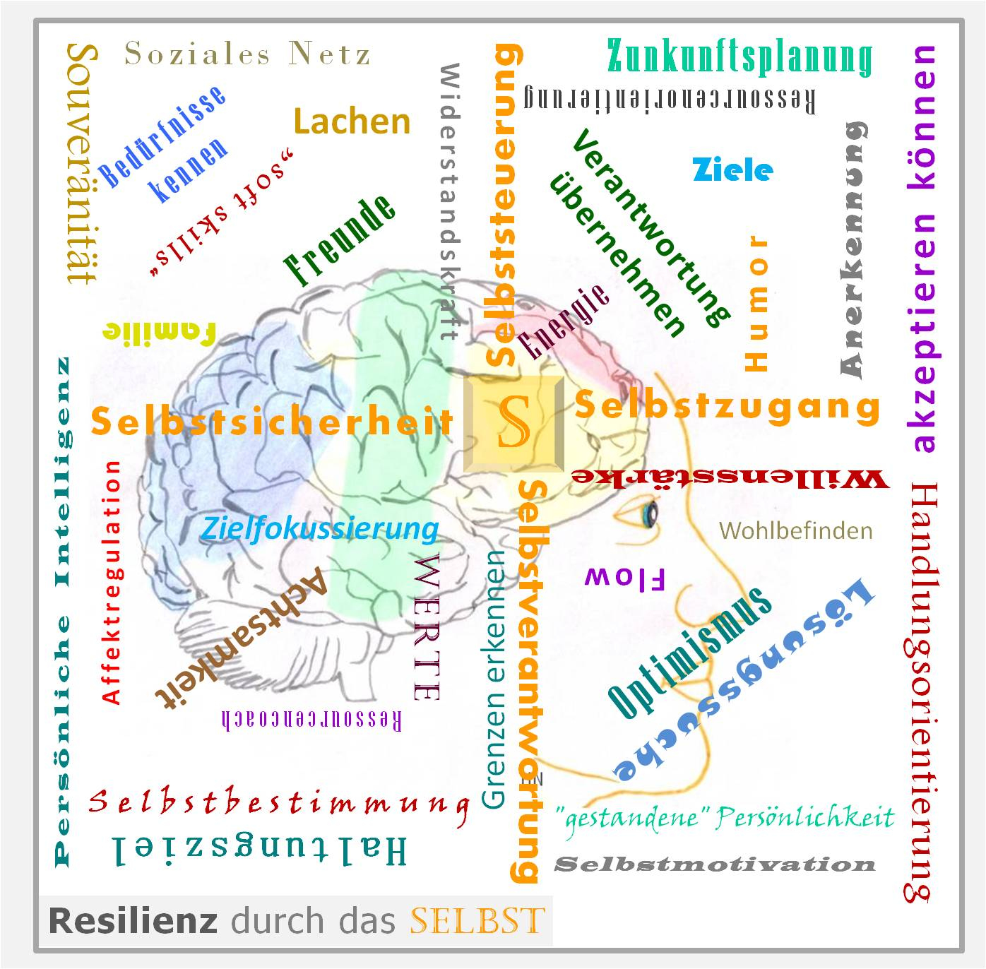 Resilienz, Widerstandskraft, Trainer, Zürcher Ressourcen Modell, Seminar, Workshop, PSI-Theorie, Hartmut Neusitzer