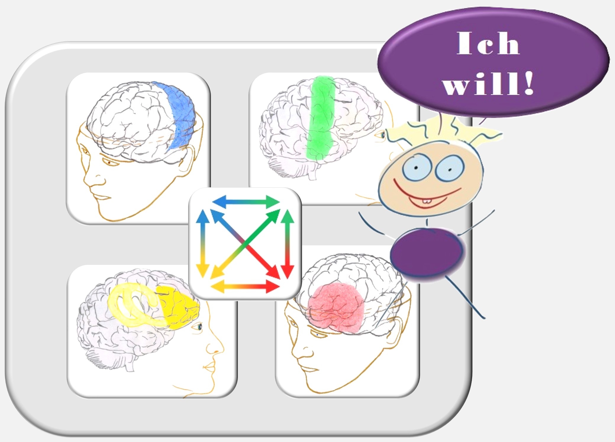 Die 4 psychischen Funktionssysteme des Gehirns. Sie werden umfassend mit der PSI-Theorie beschrieben.. Mit einem Selbstmanagementtraining nach dem Zürcher Ressourcen Modell lassen sich dies Funktionen optimieren. Ressourcenaktivierung, Selbstmanagement,  Hartmut Neusitzer