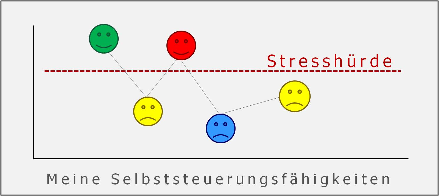 Selbststeuerung, Hartmut Neusitzer, Ressourcencoach