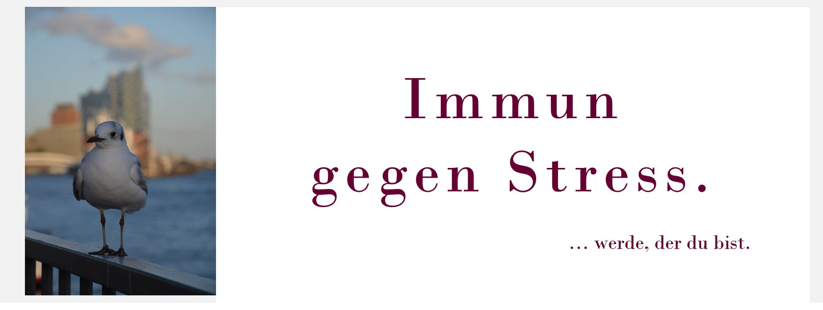 Gesundheit, Stress, Komplexität, Zürcher Ressourcen Modell, Seminar, Workshop, PSI-Theorie, Hartmut Neusitzer, Maja Storch