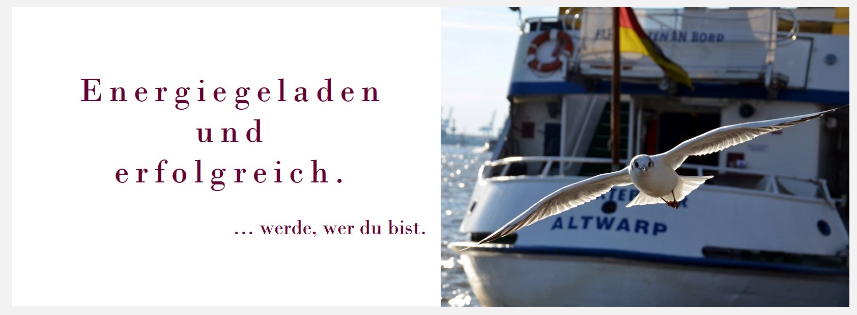 Führung, Selbststeuerung, Affektregulation, Zürcher Ressourcen Modell, Trainer, Workshop, Coaching, PSI-Theorie, Kluge Führung, Hartmut Neusitzer