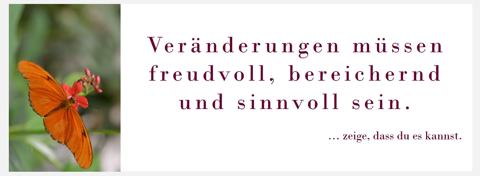 Gesundheit, Handlungskraft, Zürcher Ressourcen Modell, Burnout, Burnout-Prävention, Seminar, Workshop, PSI-Theorie, Hartmut Neusitzer