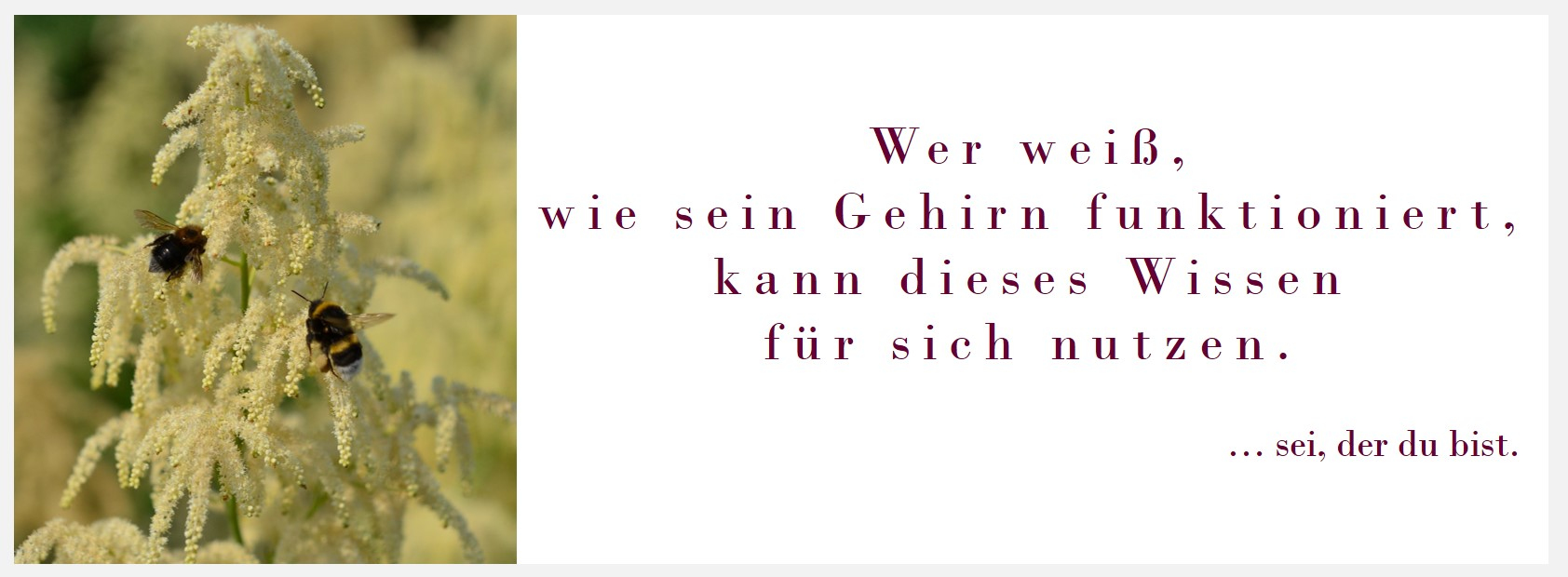 Diagnostik, Persönlichkeitsentwicklung, Komplexität, Julius Kuhl, PSI-Theorie, Hartmut Neusitzer