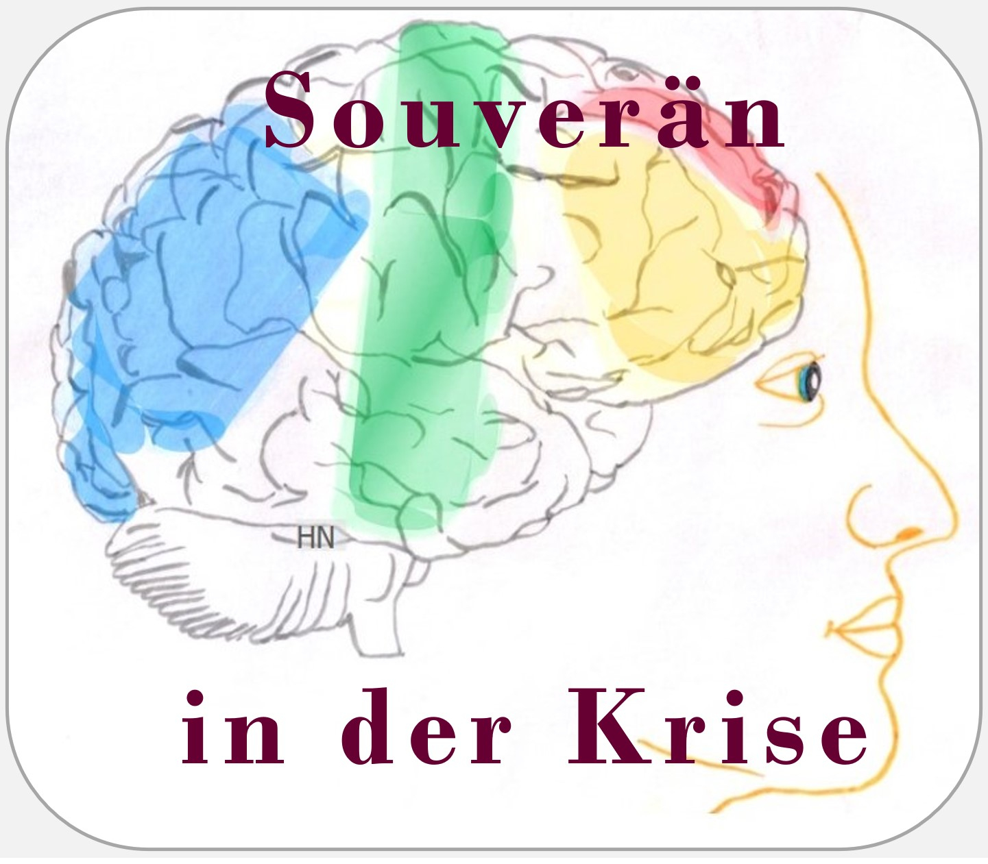 Corona, Zürcher Ressourcen Modell, Selbstmanagement, Affektregulation, Gefühle, Angst, Hartmut Neusitzer
