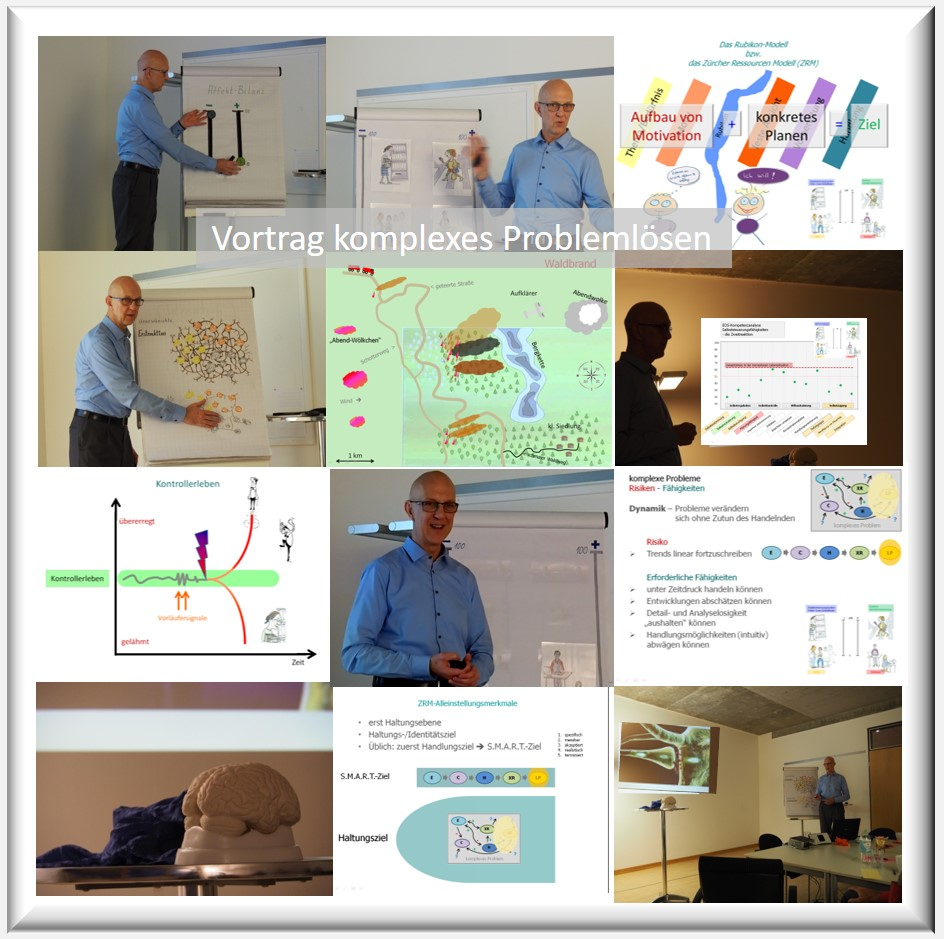 Hartmut Neusitzer; komplexes Problemlösen; Zürcher Ressourcen Modell, Notfall, Katastrophe, Havarie