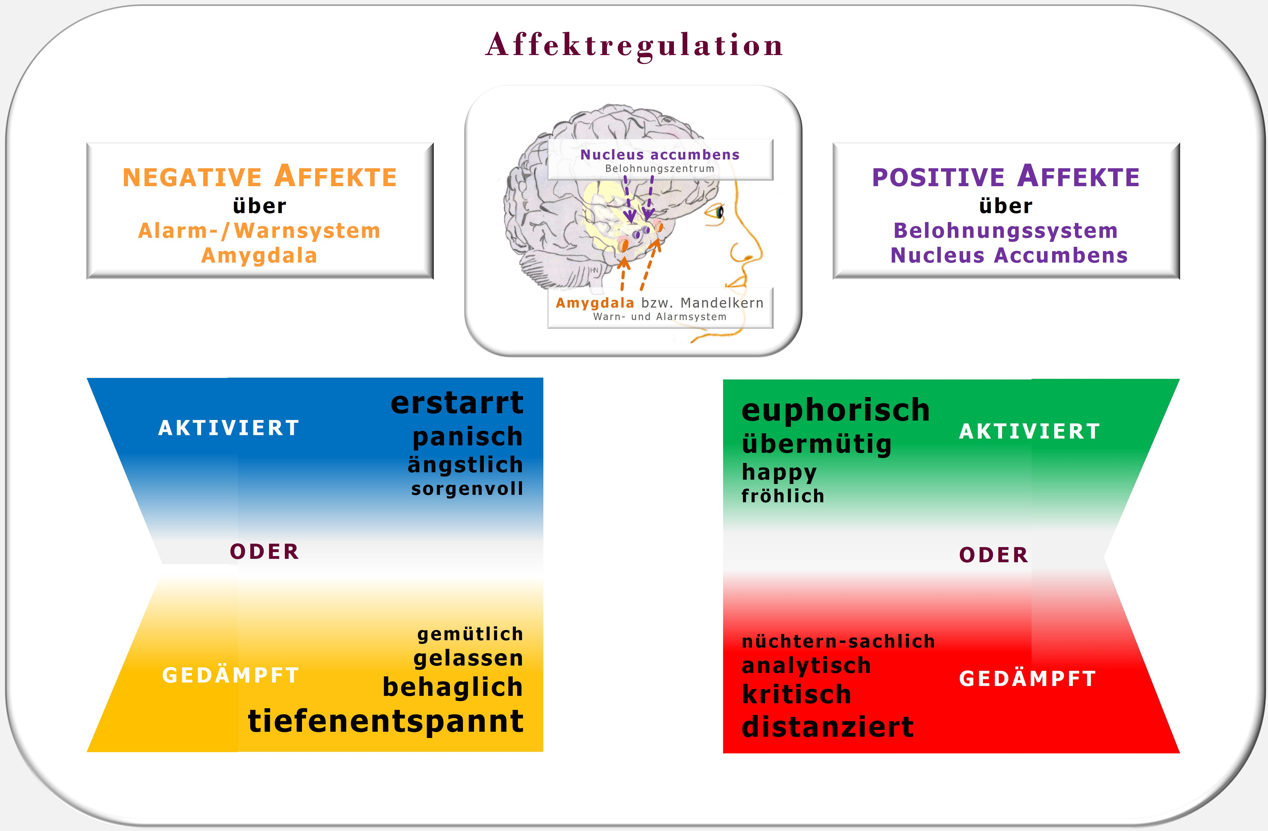 Affektregulation, Gefühlsregulation, PSI-Theorie, Julius Kuhl, Ressourcencoach, Hartmut Neusitzer