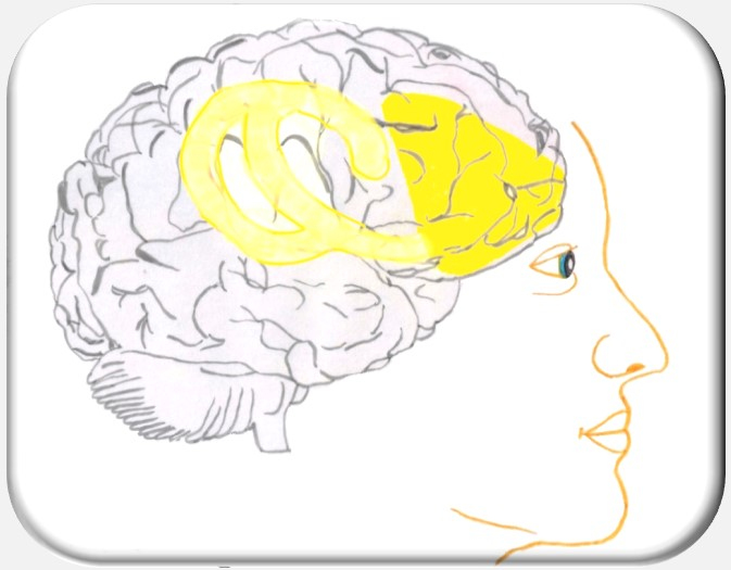 Selbst, limbisches System, PSI-Theorie, Hartmut Neusitzer, Julius Kuhl, emotionales Erfahrungsgedächtnis