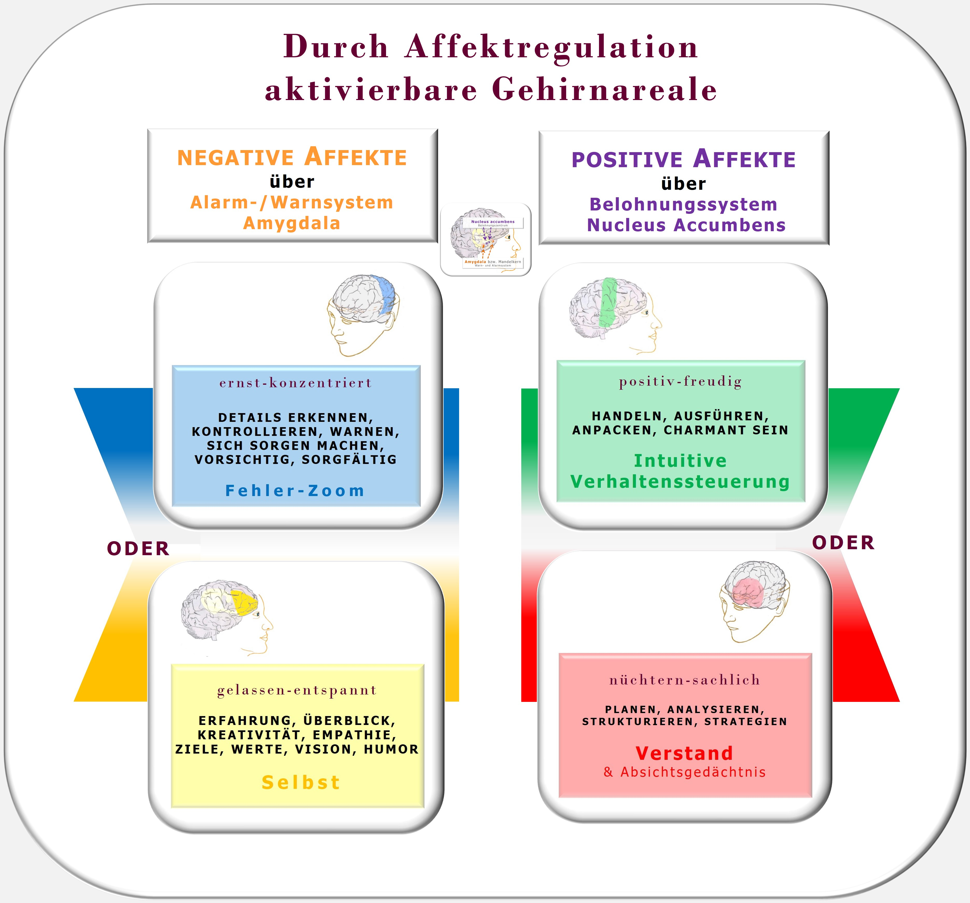 Affektregulation, Selbststeuerung, Julius Kuhl, Hartmut Neusitzer, PSI-Theorie, 