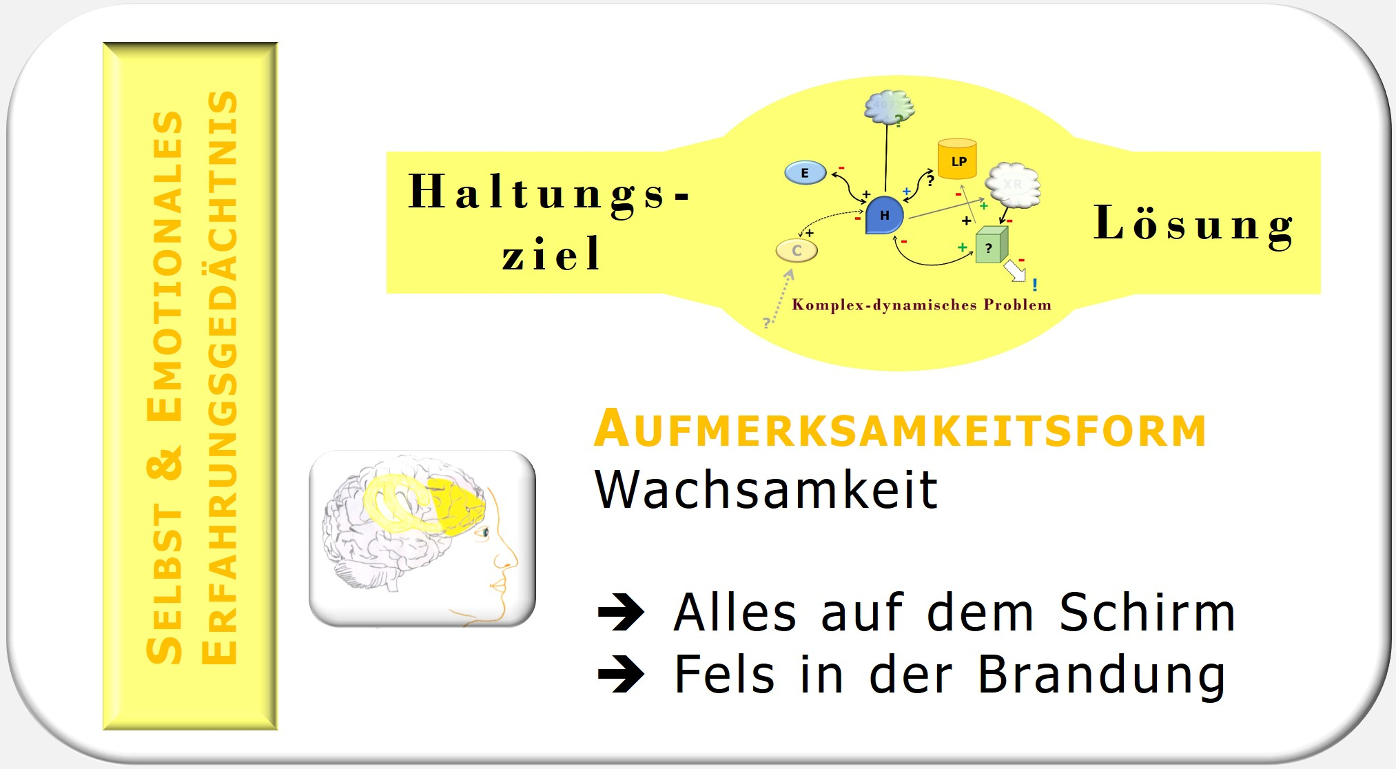 Haltungsziel, Motto-Ziel, Identitätsziel, Zürcher Ressourcen Modell, Julius Kuhl, Maja Storch, Hartmut Neusitzer