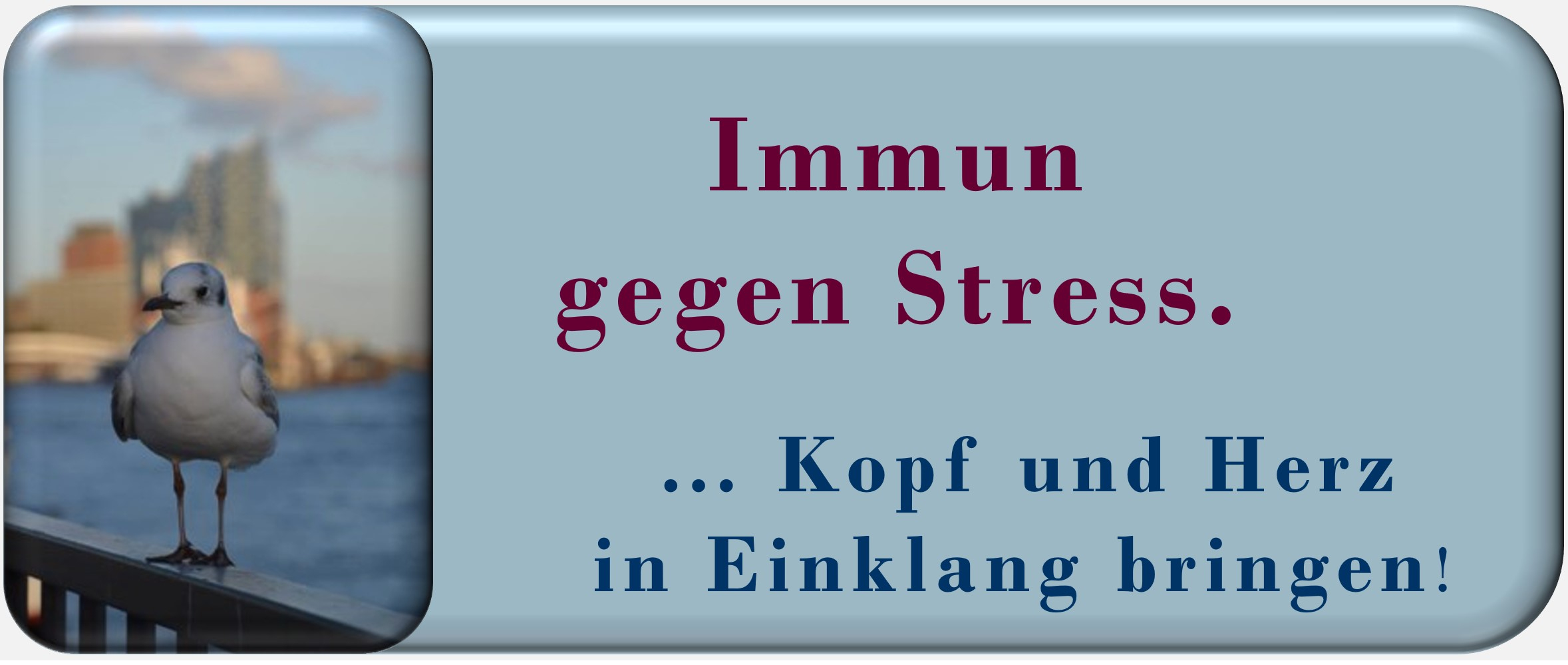 Gesundheit, Stress, Komplexität, Zürcher Ressourcen Modell, Seminar, Workshop, PSI-Theorie, Hartmut Neusitzer, Maja Storch