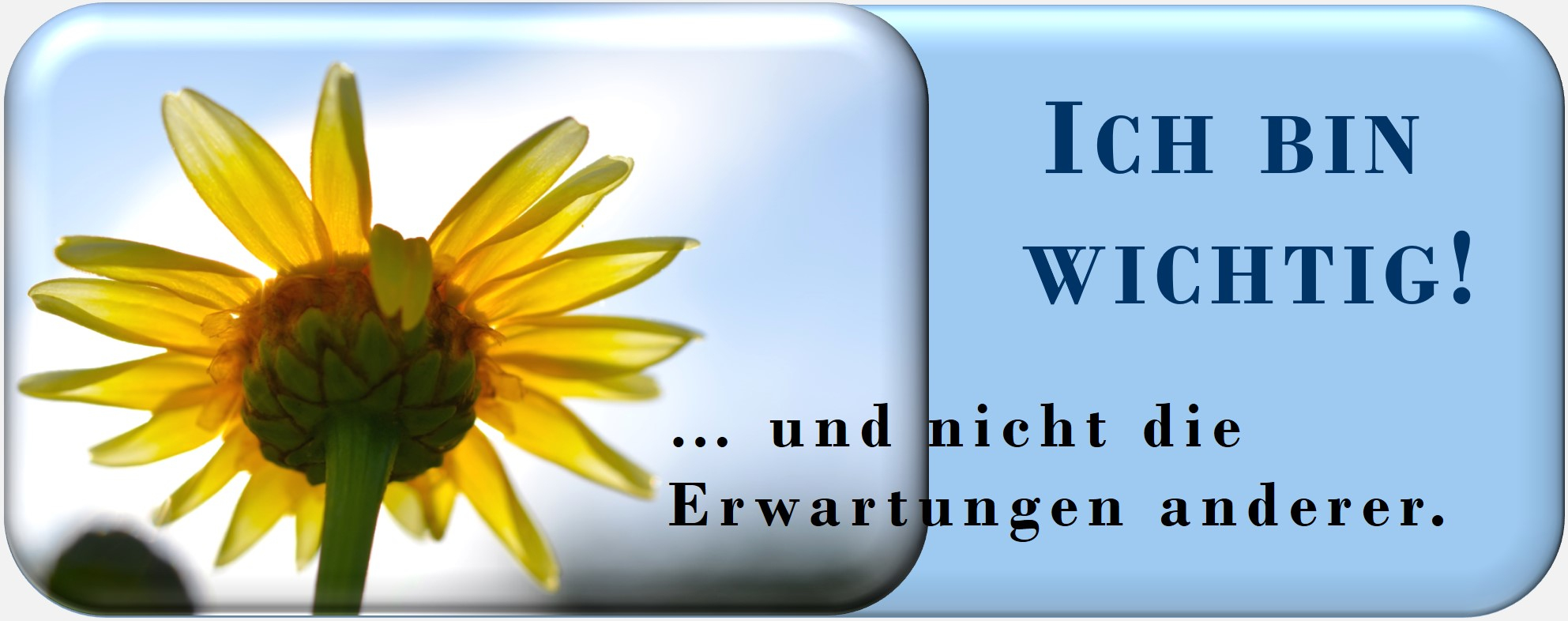 Gesundheit,  Lebenseneregie, Handlungskraft, Zürcher Ressourcen Modell, Burnout, Burnout-Prävention, Seminar, Workshop, PSI-Theorie, Hartmut Neusitzer