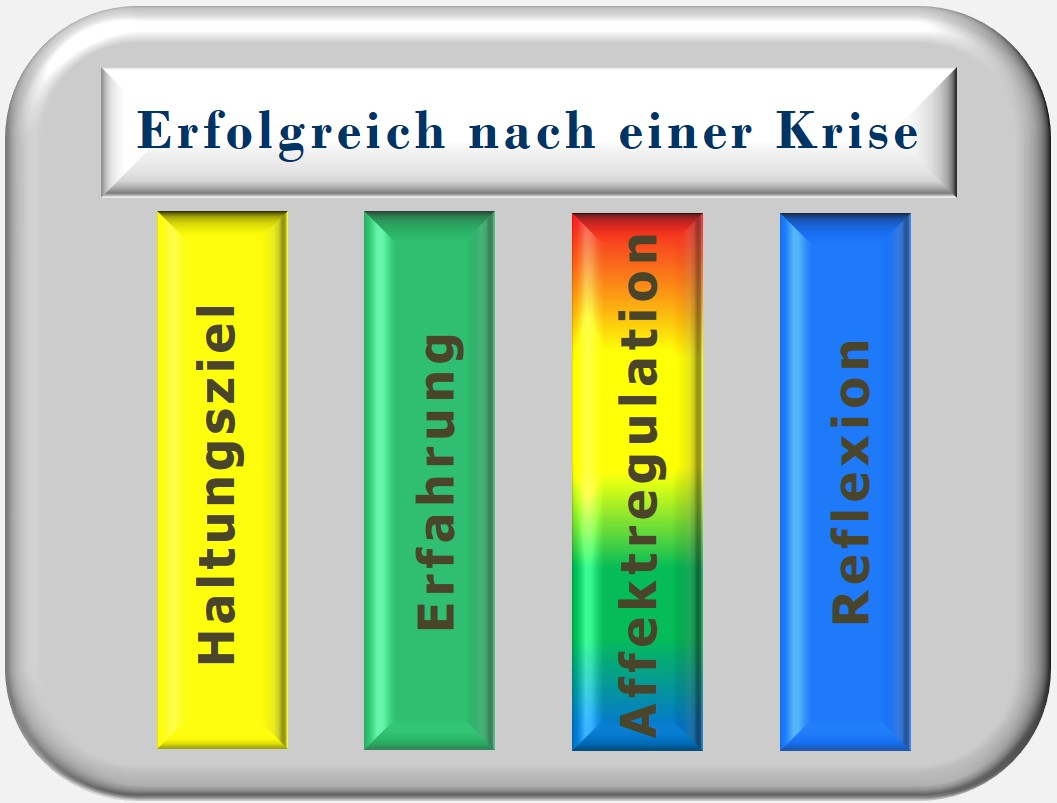 Zürcher Ressourcen Modell, Selbstmanagement, Erfolgreich nach einer Krise, Hartmut neusitzer