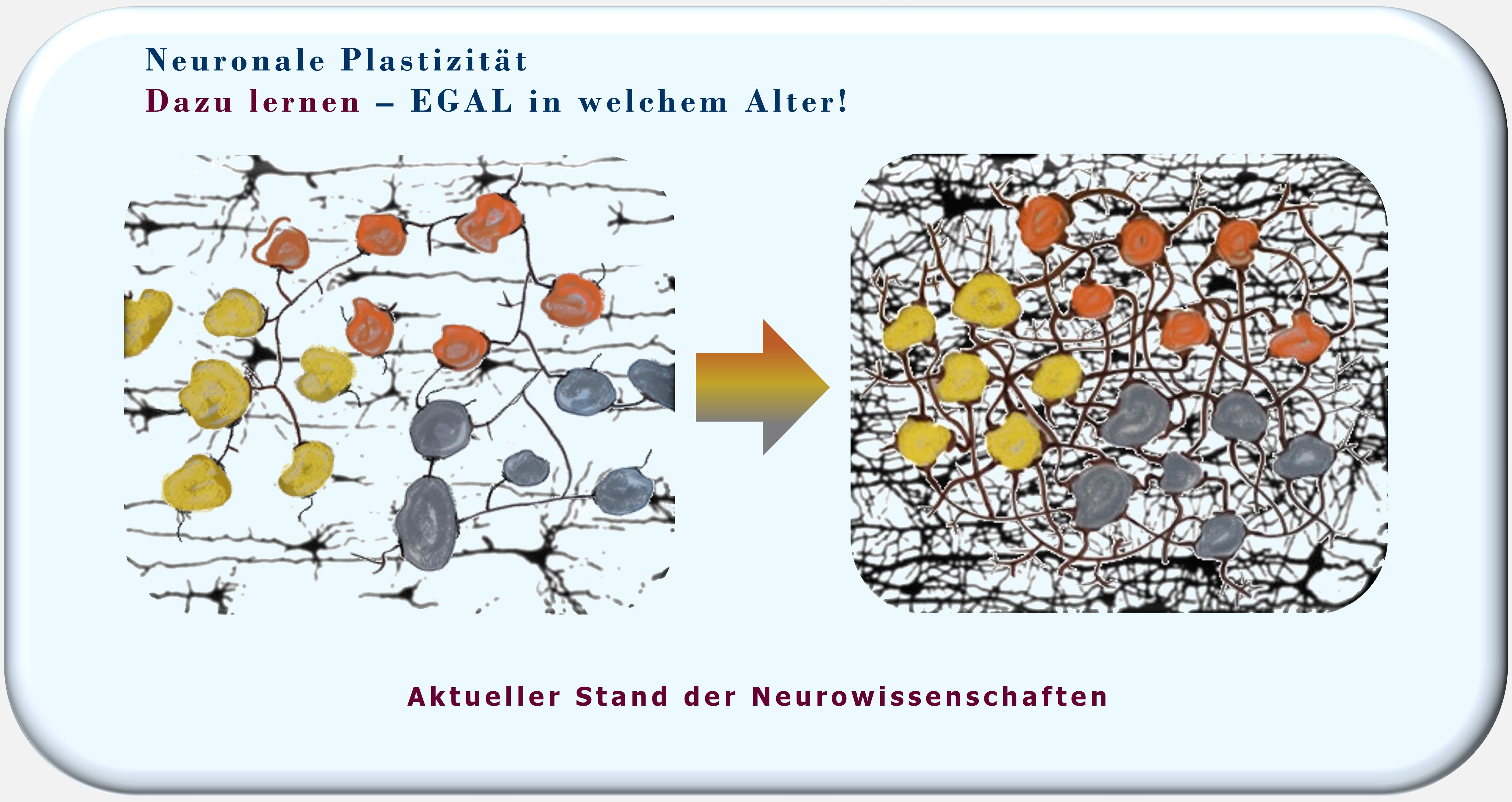 neuronale Plastizität, Hartmut Neusitzer, Gerald Hüther