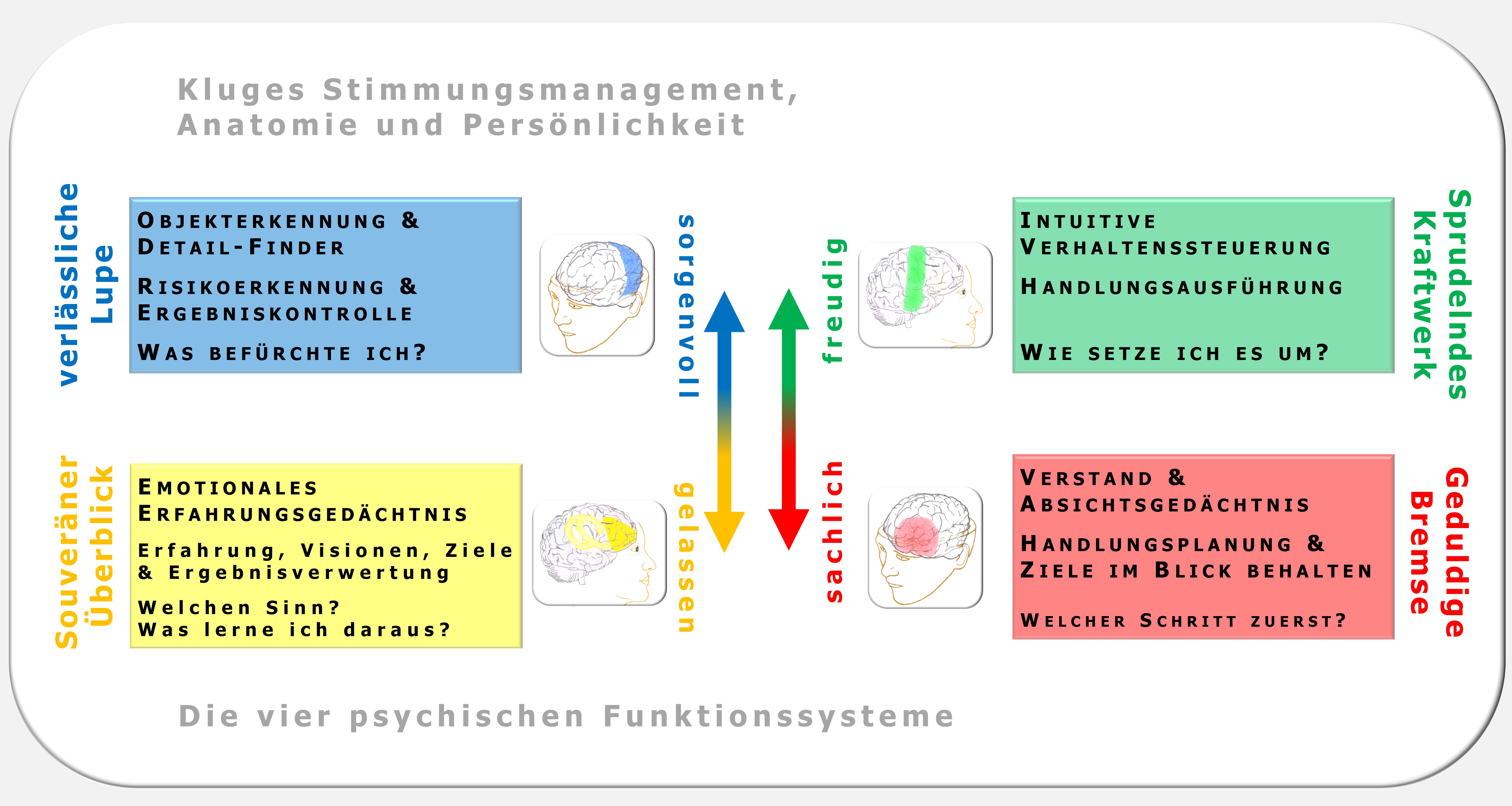 PSI-Theorie, Hartmut Neusitzer, Prof. Julius Kuhl, komplexes Problemlösen, Stimmungsmanagement, Affektregulation, Handlungssteuerung, EOS DIAGNOSTIK