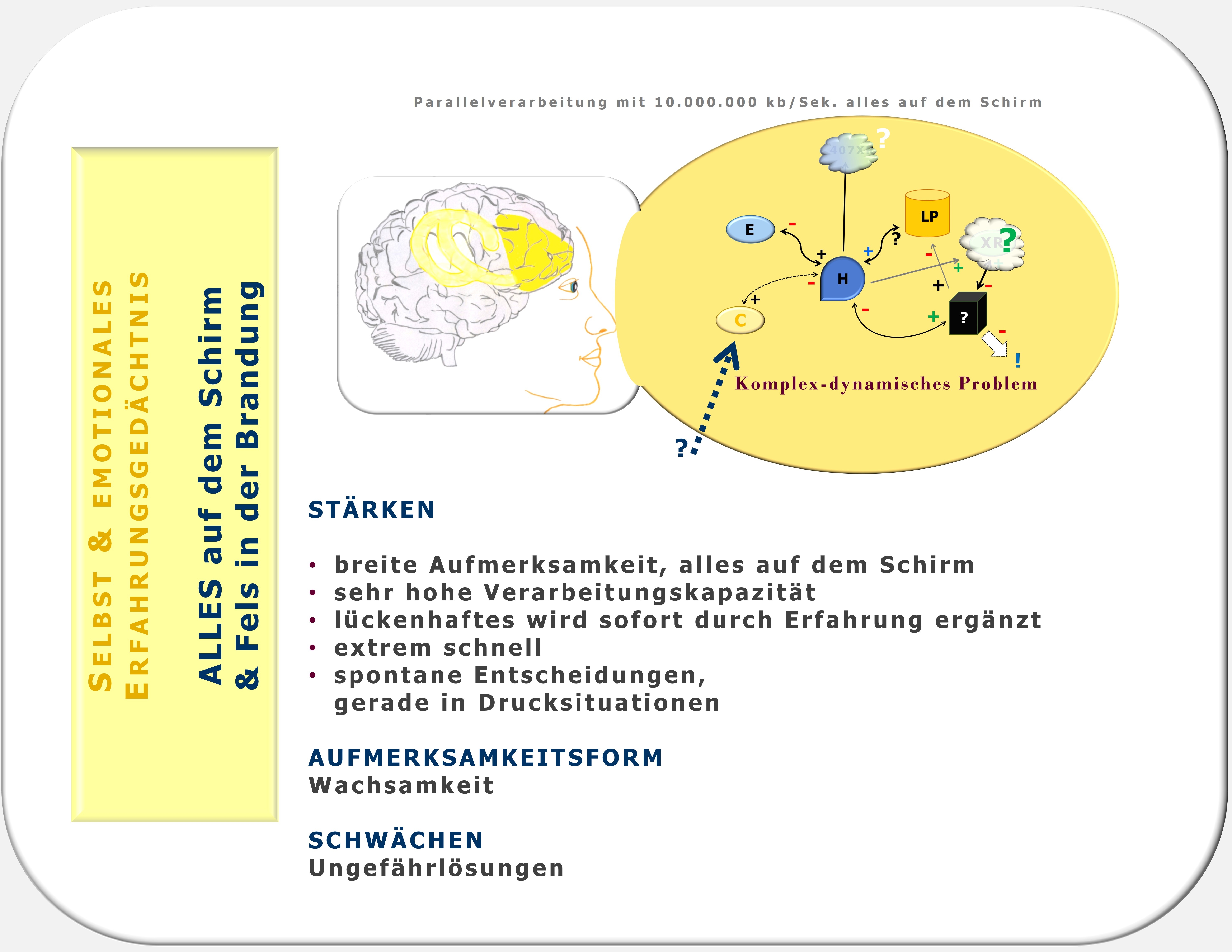 Hartmut Neusitzer, Motto-Ziel, emotionales Erfahrungsgedächtnis, Julius Kuhl 