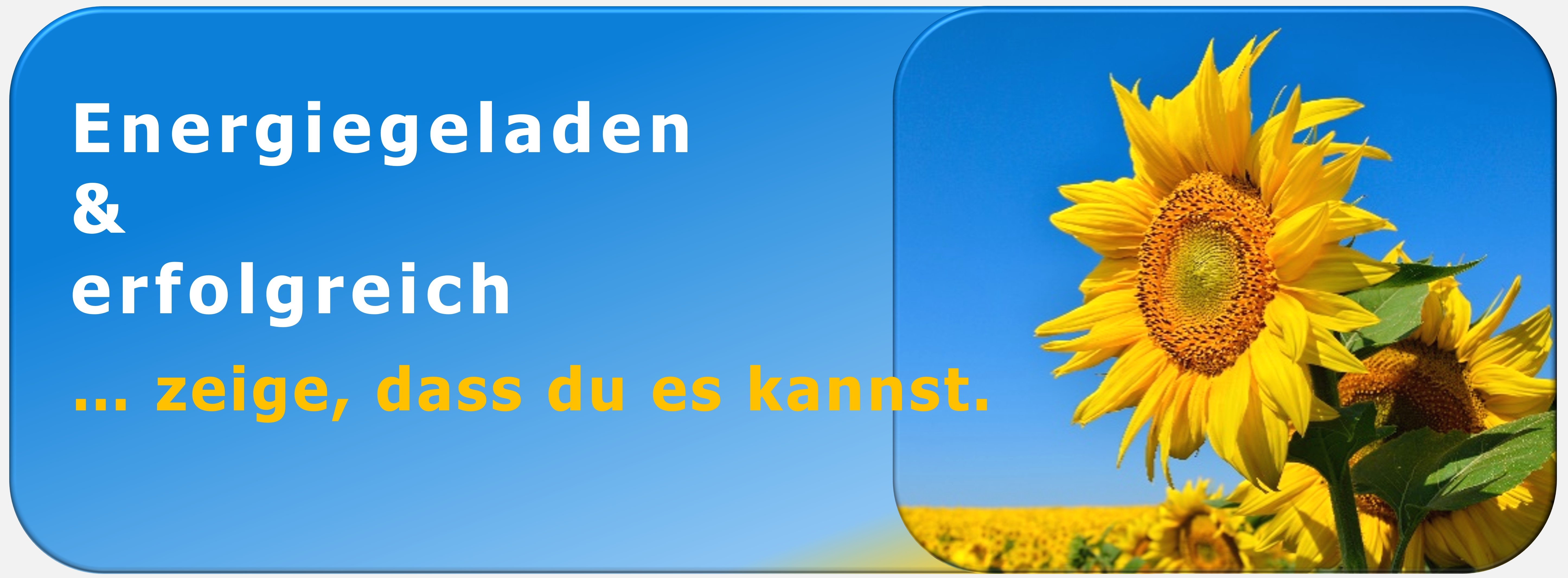 kluge Führung, Selbstzugang, Affektregulation, Zürcher Ressourcen Modell, Workshop, Coaching, PSI-Theorie, Hartmut Neusitzer