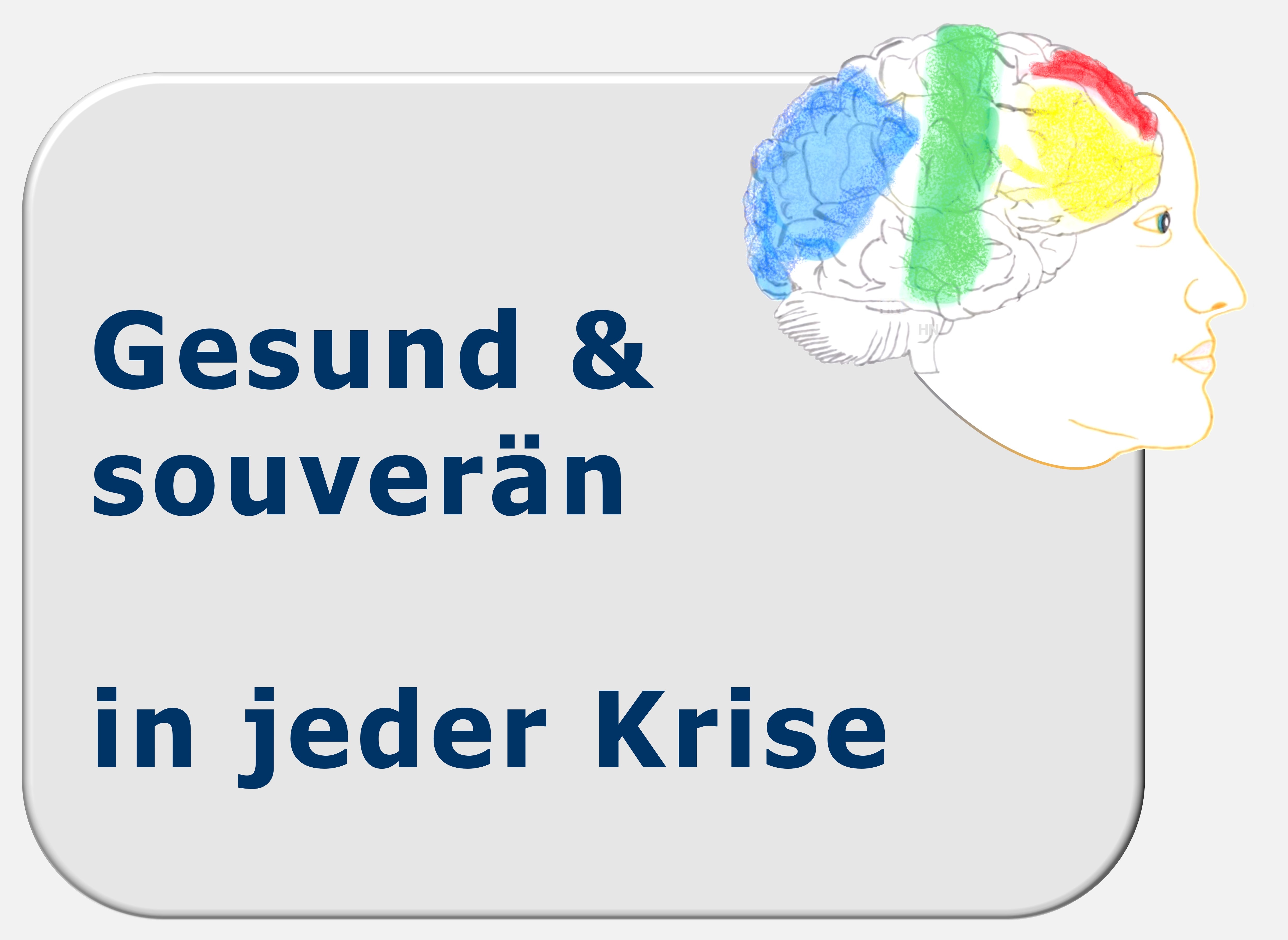 Zürcher Ressourcen Modell, Selbstmanagement, Affektregulation, Gefühle, Angst, Home-Office, Hartmut Neusitzer