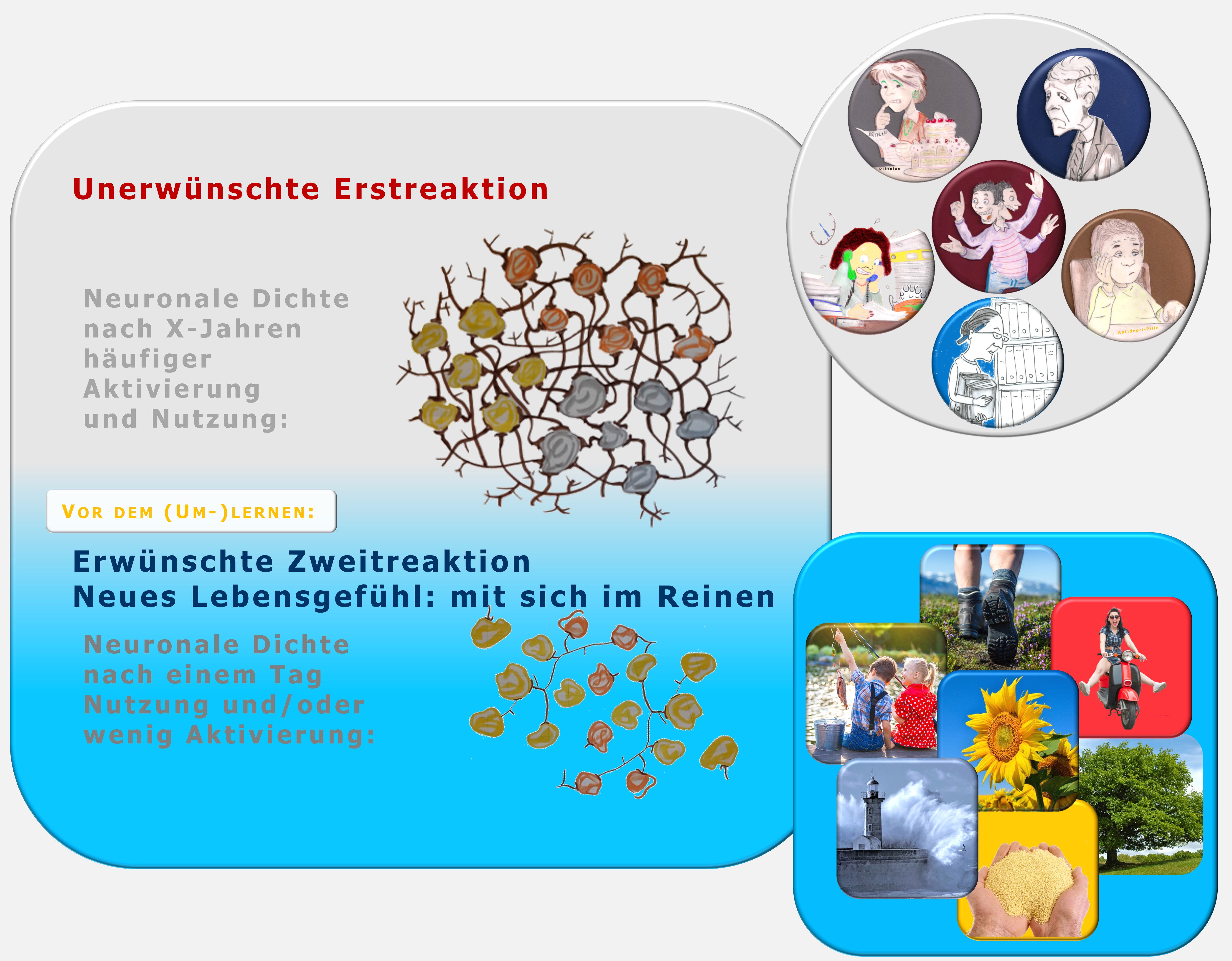 Zweitreaktion, Lebensgefühl, neuronale Plastizität, Zweitreaktion, Maja Storch, Zürcher Ressourcen Modell, Julius Kuhl, PSI-Theorie, Hartmut Neusitzer, Ressourcencoach 