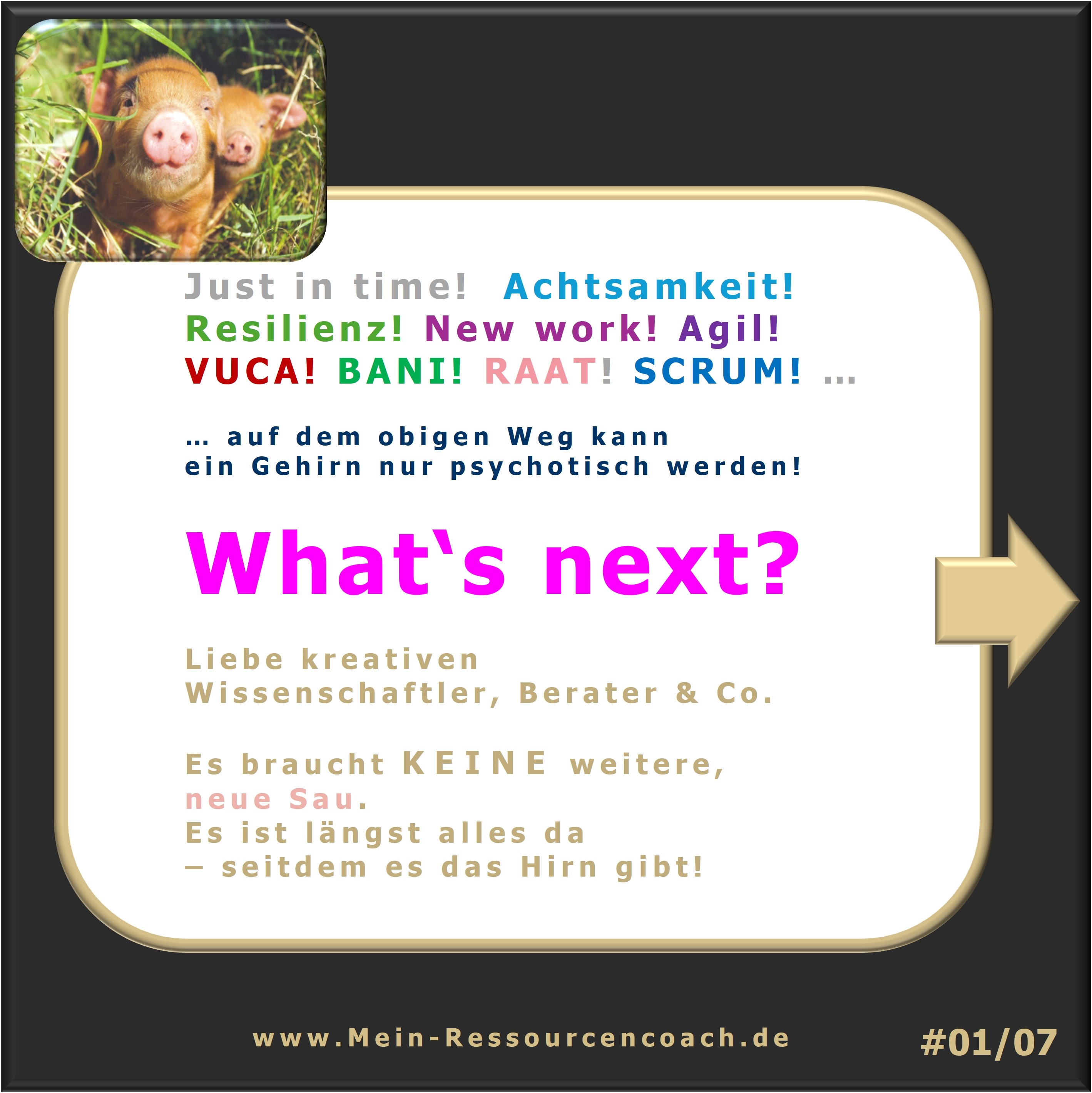 VUCA, BANI, agil, SRUM, RAAT, Just in time, Achtsamkeit, Resilienz, New work _ Hartmut Neusitzer