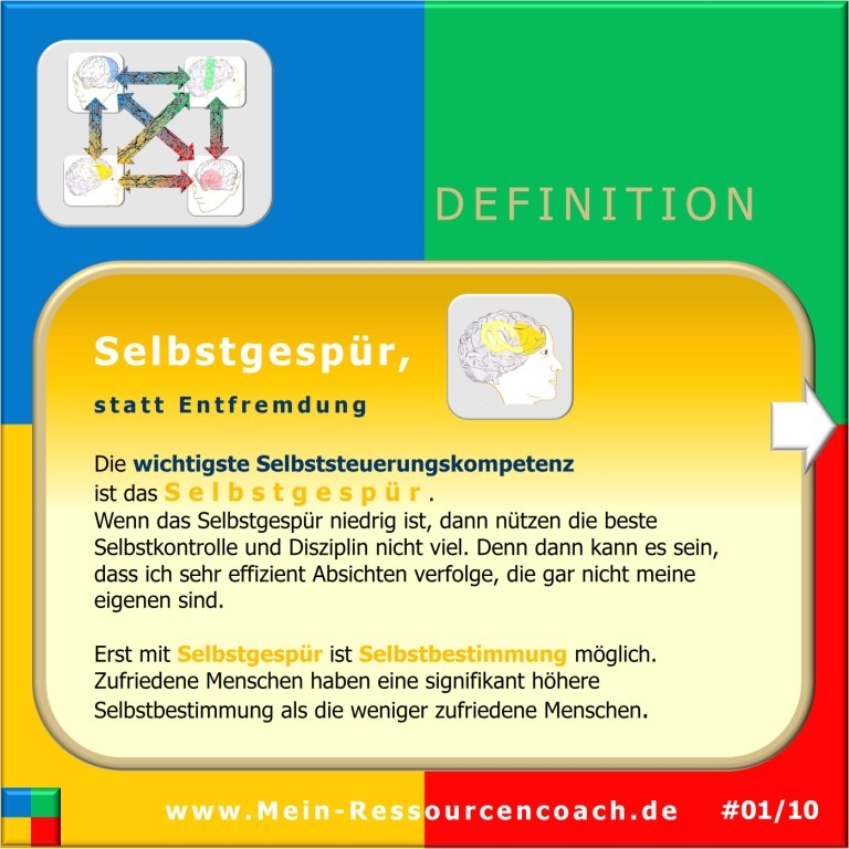 Selbstgespür, Selbststeuerung, Selbstzugang, PSI-Theorie, Julius Kuhl _ Hartmut Neusitzer