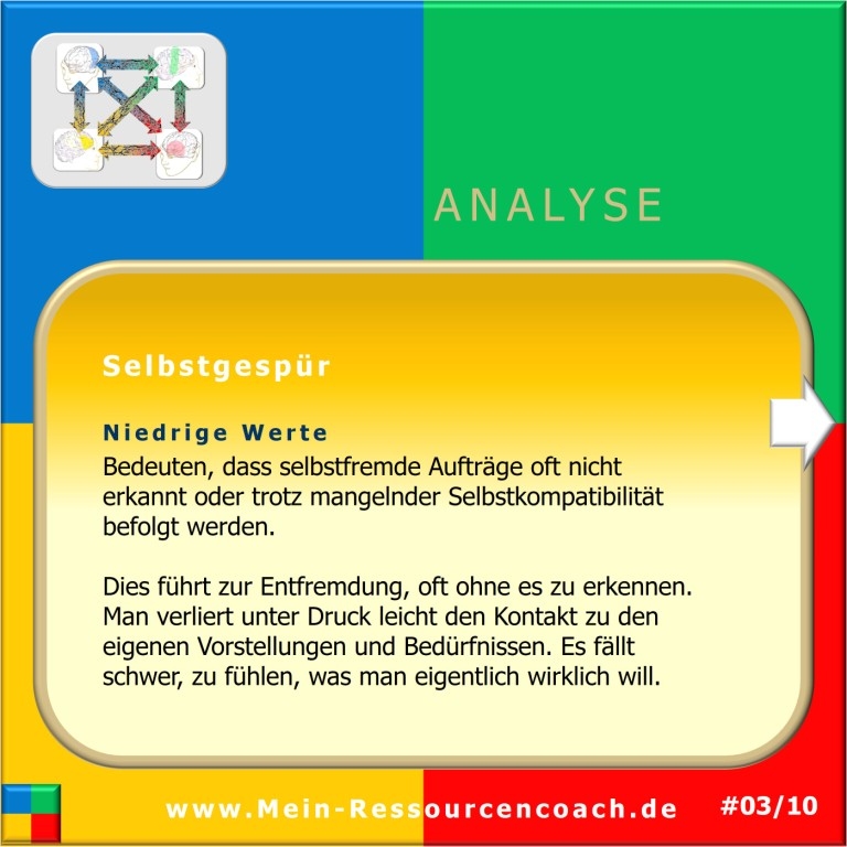 Selbstgespür, Selbststeuerung, Selbstzugang, PSI-Theorie, Julius Kuhl _ Hartmut Neusitzer