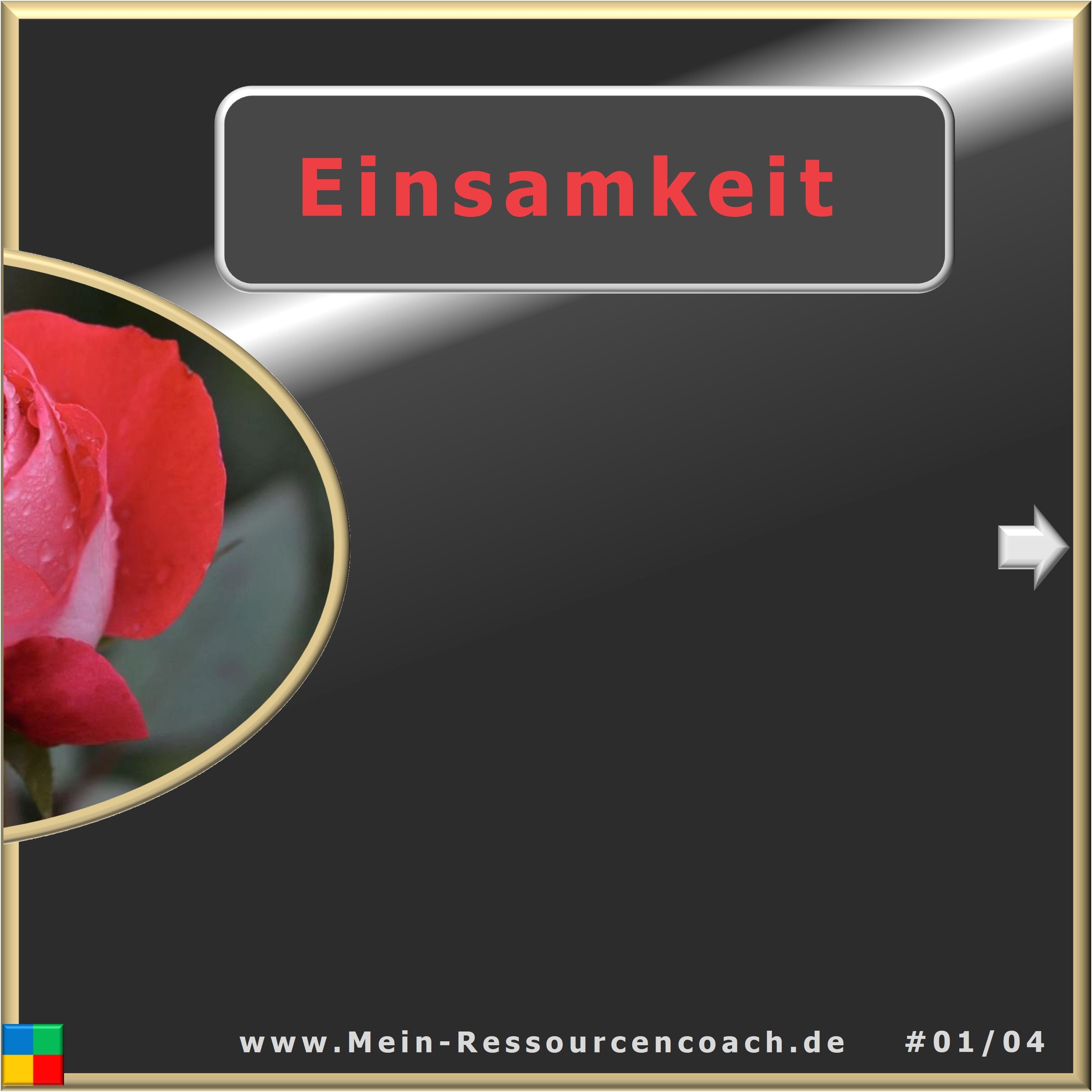 Einsamkeit, Hintenrumgerede _ Hartmut Neusitzer, Zürcher Ressourcen Modell, Selbstmanagement