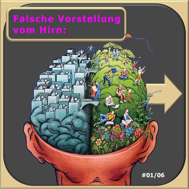 Komplexes Gehirn, Gerald Hüther, Maja Storch, Gerhard Roth _ Selbstmanagement-Training, Hartmut Neusitzer