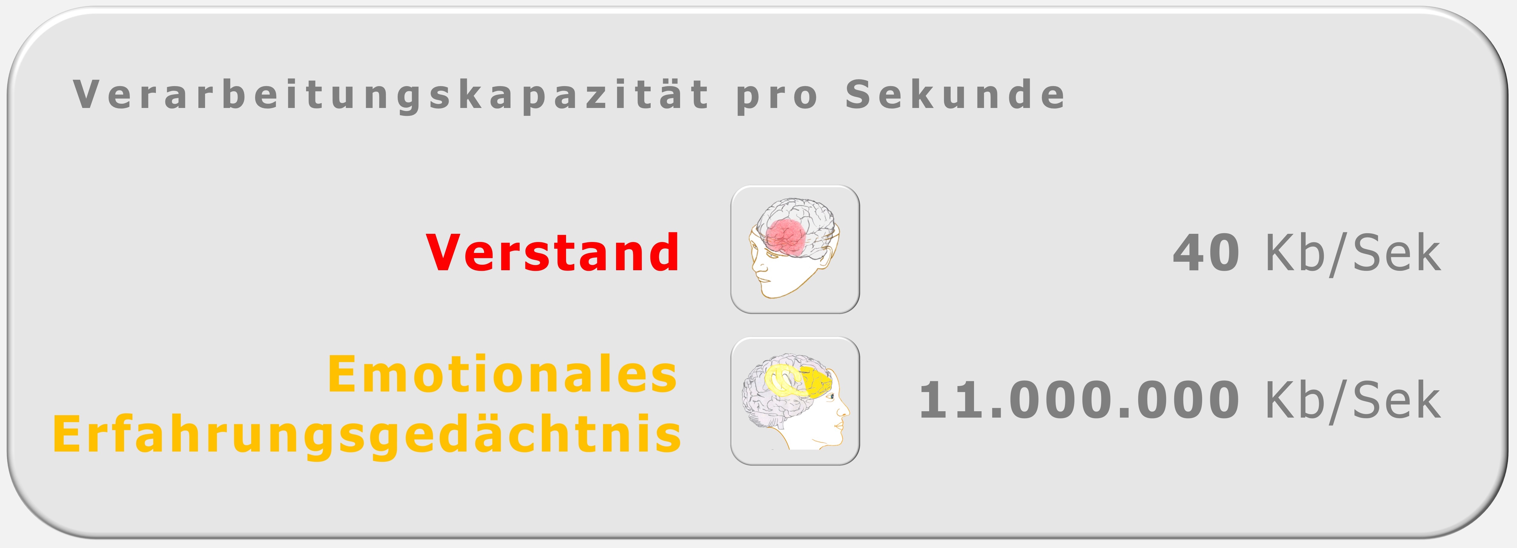 Verarbeitungskapazität, Verstand versus limbisches System, PSI-Theorie, Julius Kuhl, Hartmut Neusitzer