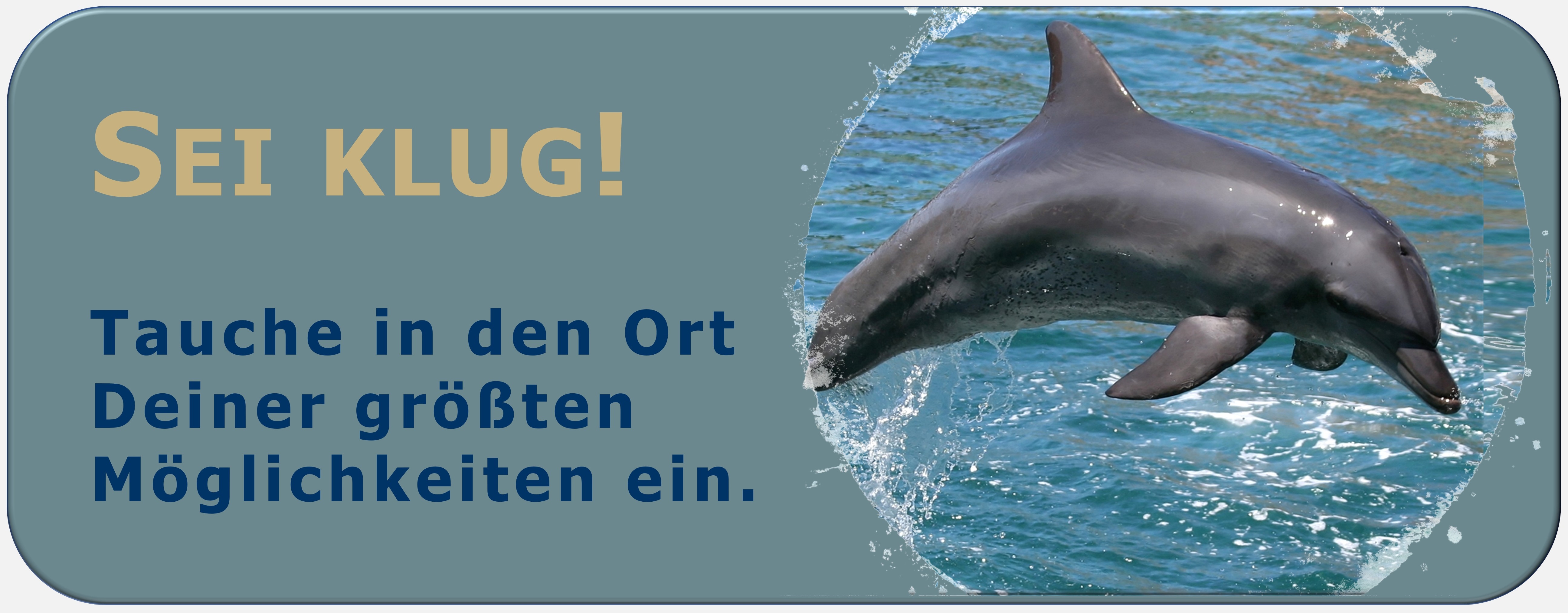 Zürcher Ressourcen Modell, Seminar, Workshop, Hartmut Neusitzer, Ressourcen, rasanter Wandel, Digitalisierung