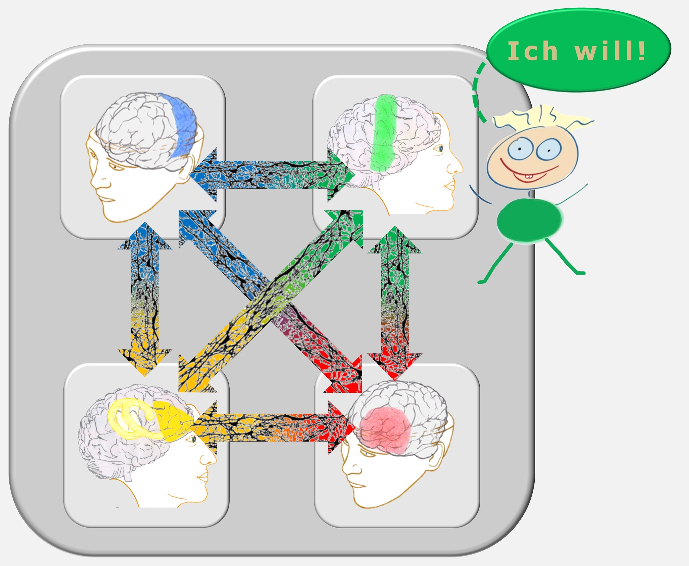 Die 4 psychischen Funktionssysteme des Gehirns. Sie werden umfassend mit der PSI-Theorie beschrieben.. Mit einem Selbstmanagementtraining nach dem Zürcher Ressourcen Modell lassen sich dies Funktionen optimieren. Ressourcenaktivierung, Selbstmanagement,  Hartmut Neusitzer