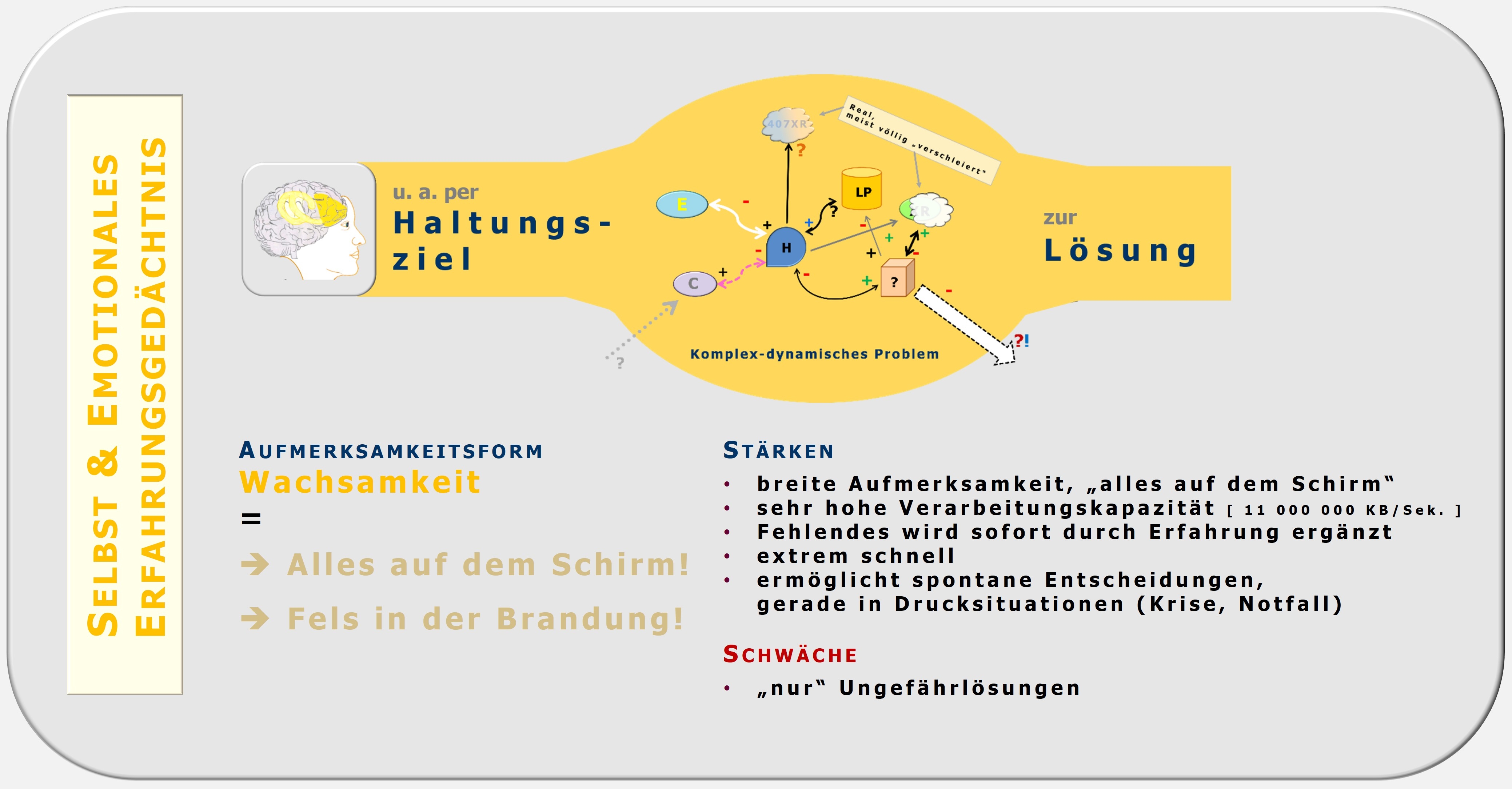 Wachsamkeit, Motto-Ziel, Zürcher Ressourcen Modell, Haltungsziel, Hartmut Neusitzer, Maja Storch