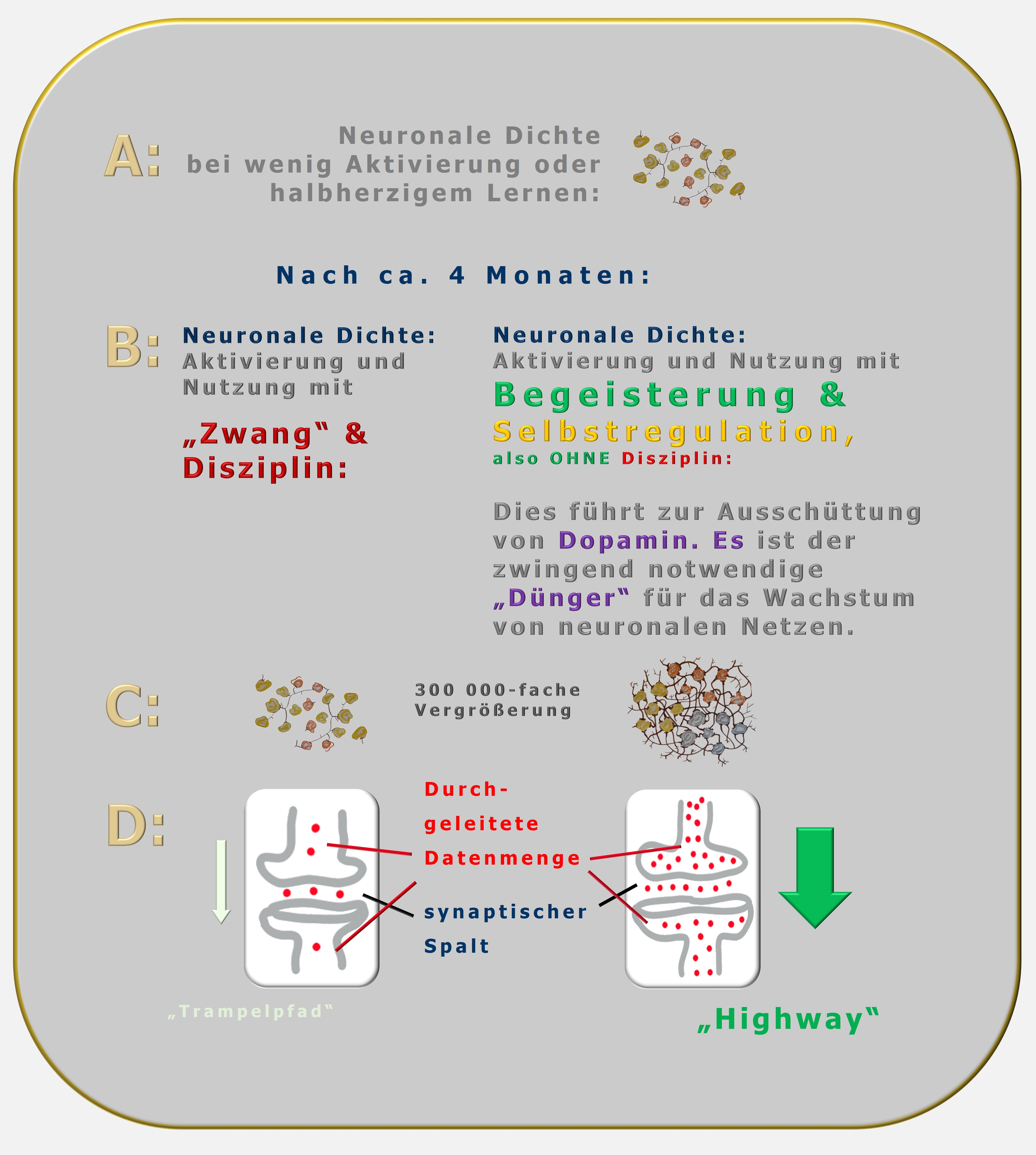 Lernen, Neuronale Dichte, Begeisterung, Dopamin, Hartmut Neusitzer
