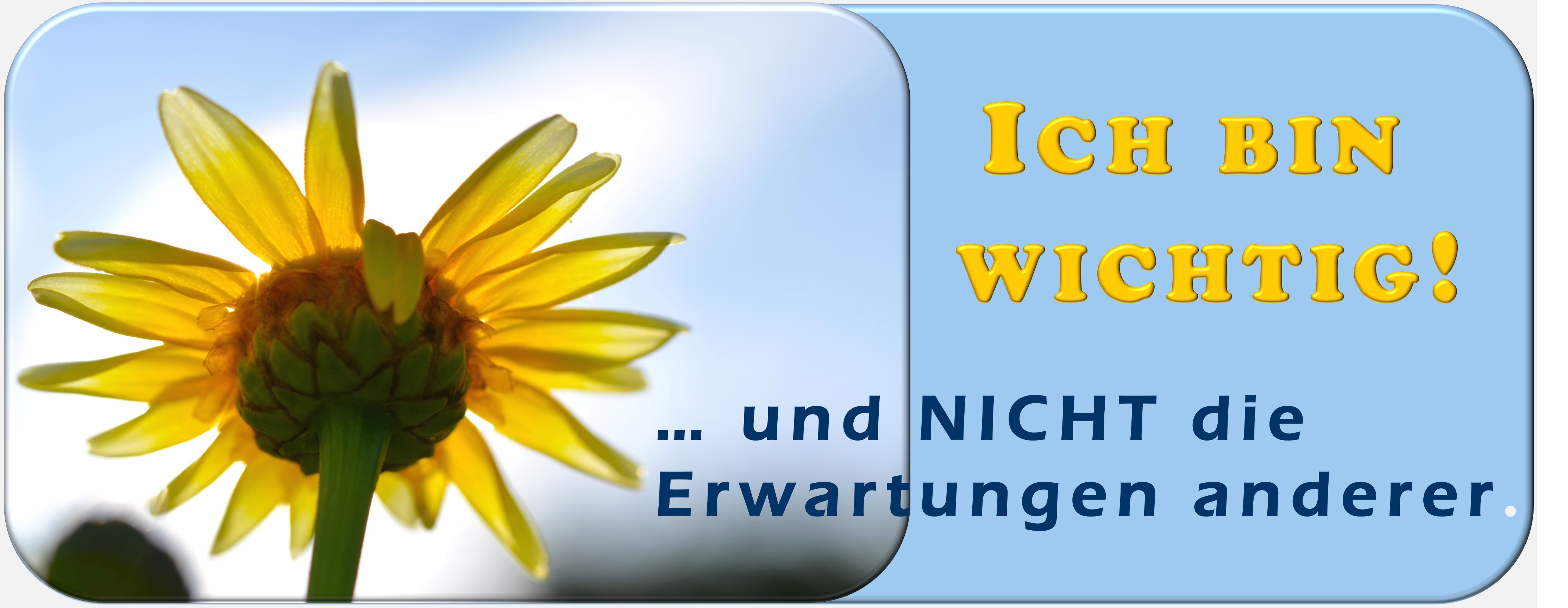 Gesundheit, Lebenseneregie, Handlungskraft, Zürcher Ressourcen Modell, Burnout, Burnout-Prävention, Seminar, Workshop, PSI-Theorie, Hartmut Neusitzer